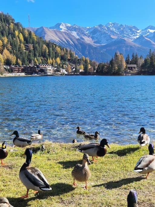Superbe Appartement Champex-Lac Avec Piscine Et Sauna Extérieur photo