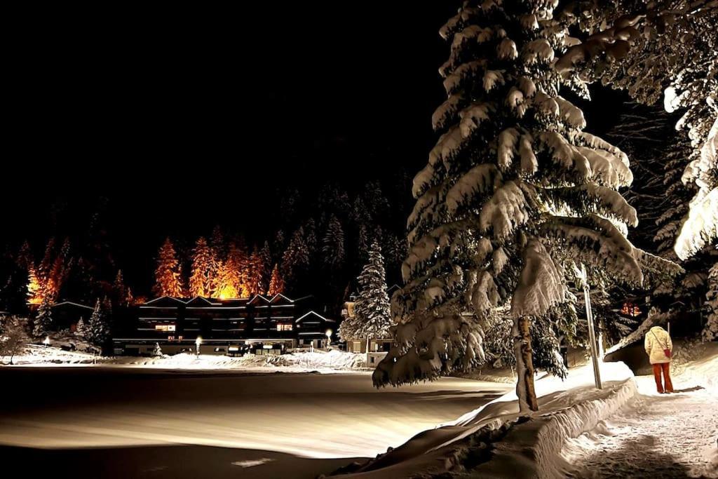 Superbe Appartement Champex-Lac Avec Piscine Et Sauna Extérieur photo